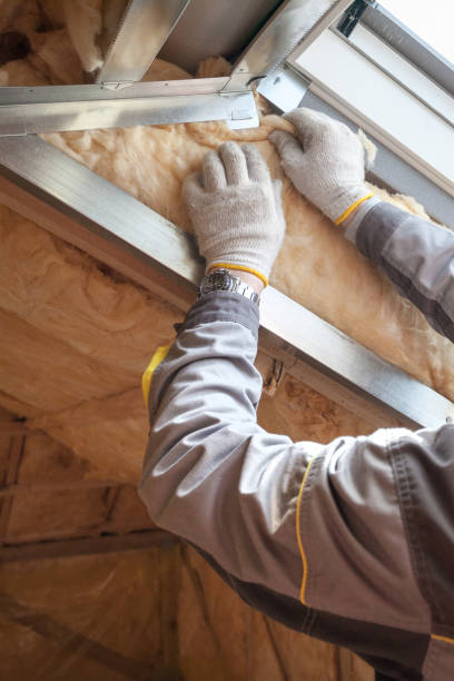 Types of Insulation We Offer in Lake City, FL